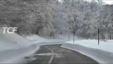 NEVE E FREDDO IN TUTTA LA PROVINCIA