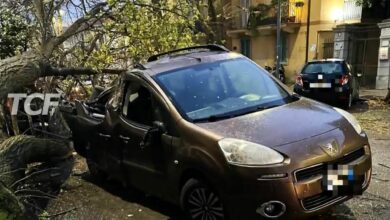 MESSINA SFERZATA DAL MALTEMPO, ALBERI ABBATTUTI E STRADE CHIUSE